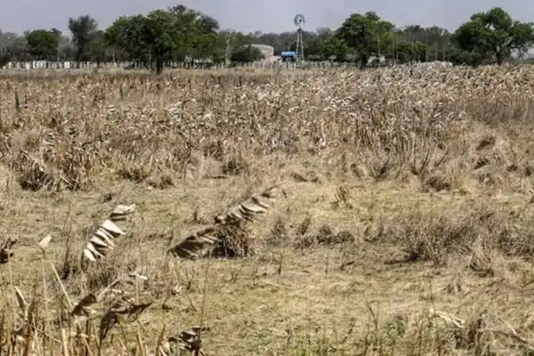 Federación Agraria solicitó la declaración de emergencia agropecuaria para Entre Ríos