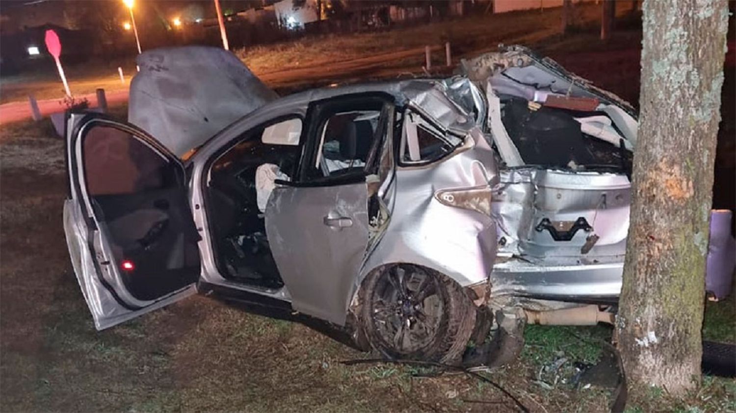 Gualeguay: chocaron un caballo y terminaron impactando contra un arbol