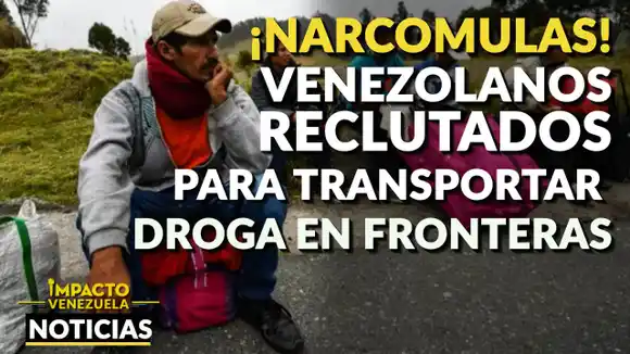 ¡NARCOMULAS! Venezolanos reclutados para transportar droga en fronteras – VIDEO IMPACTO VENEZUELA