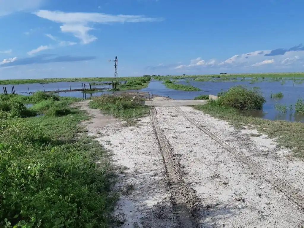 Inundaciones ponen en jaque la producción del norte provincial