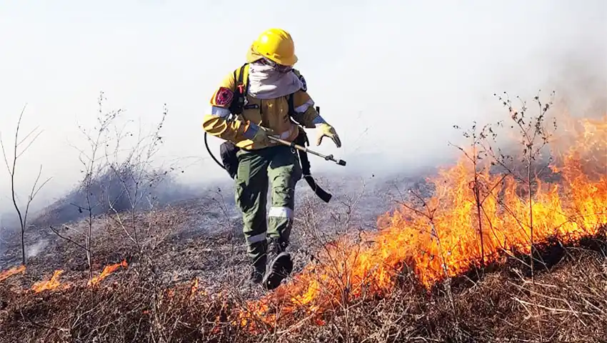 Acusados de incendios en el Delta deberán ir a juicio