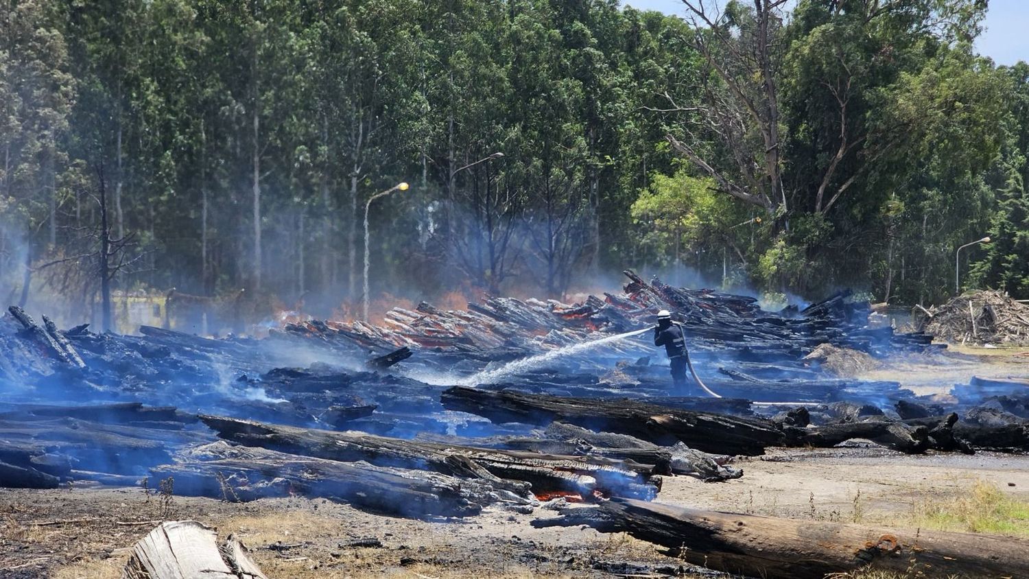 Brigadistas de la provincia controlaron feroz incendio en Capitán Bermúdez