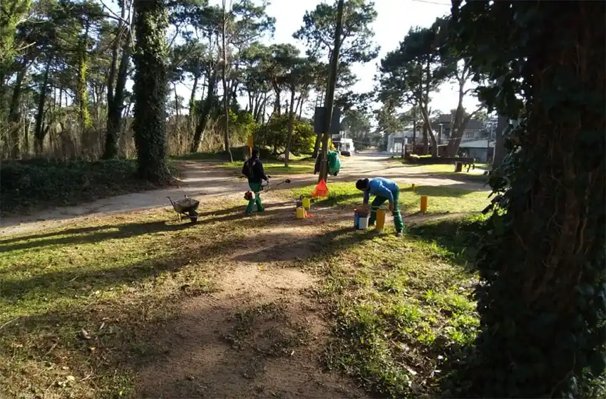 Gesell: el Municipio realiza obras en la pista de exámenes de licencias de conducir
