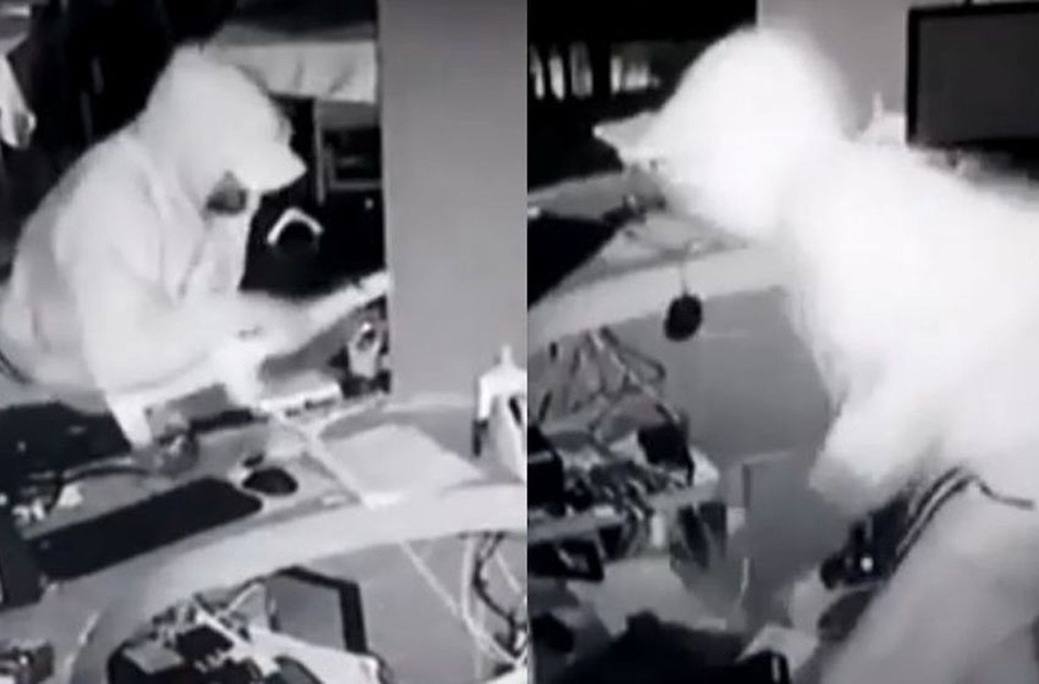 Le robaron tres veces, filmó a los ladrones y la policía no los detuvo