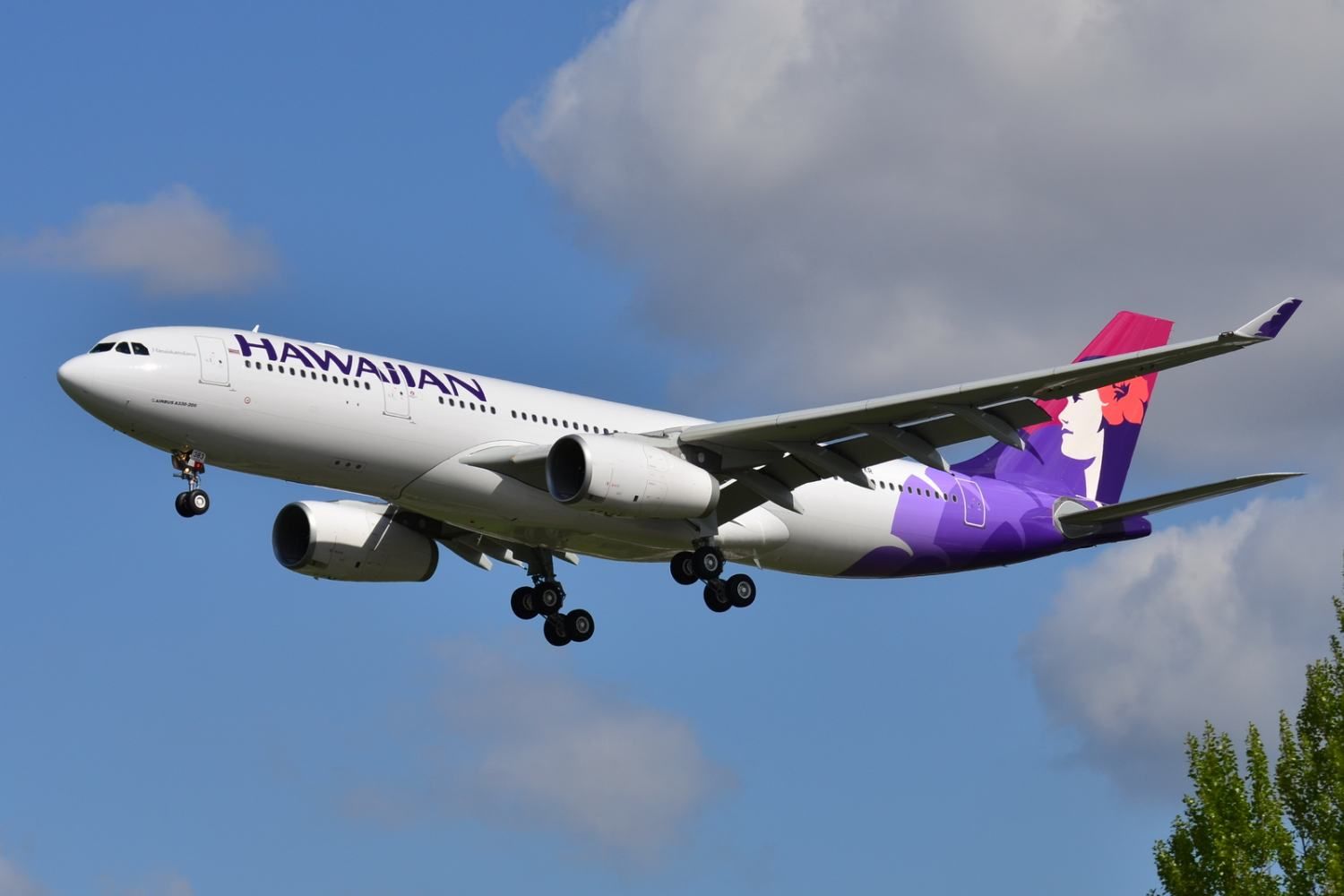 Hawaiian Airlines retoma sus vuelos a Auckland