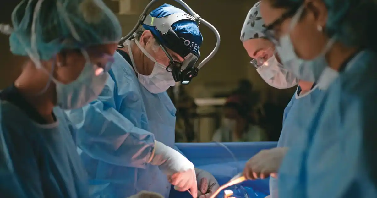 La donación de órganos salva una vida más por día