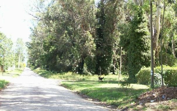 Mar del Plata: Denuncian que "se venden lotes a 10 mil pesos cuando su valor real es de 150 mil"