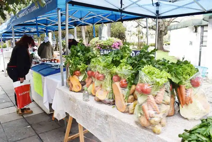 La feria de la economía  social estará en Plaza Rural