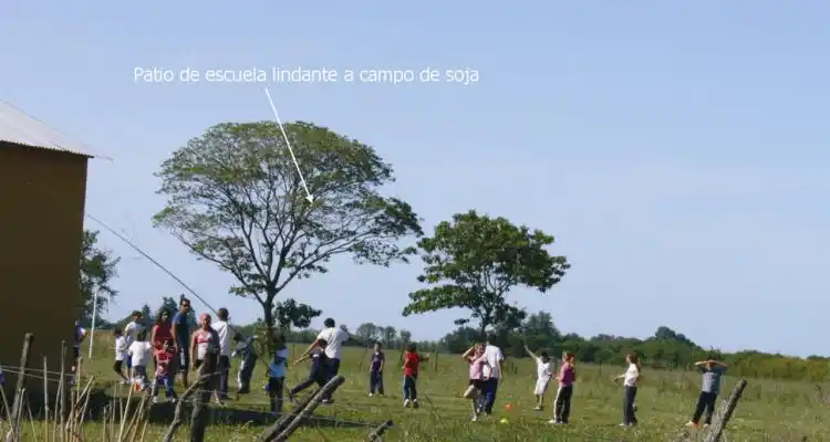 A la espera de los análisis, buscan acuerdo para  controlar fumigaciones