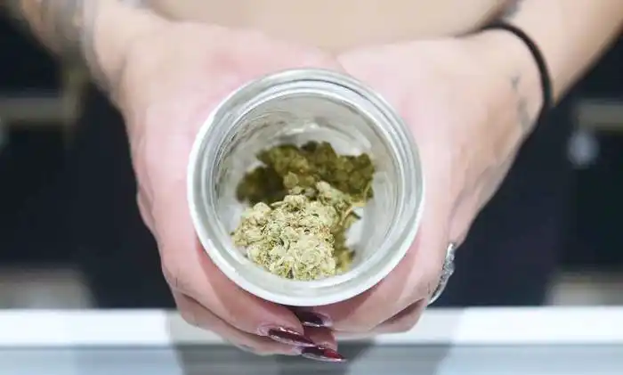 Tratarán el proyecto para  regular el desarrollo de la  industria de cannabis medicinal