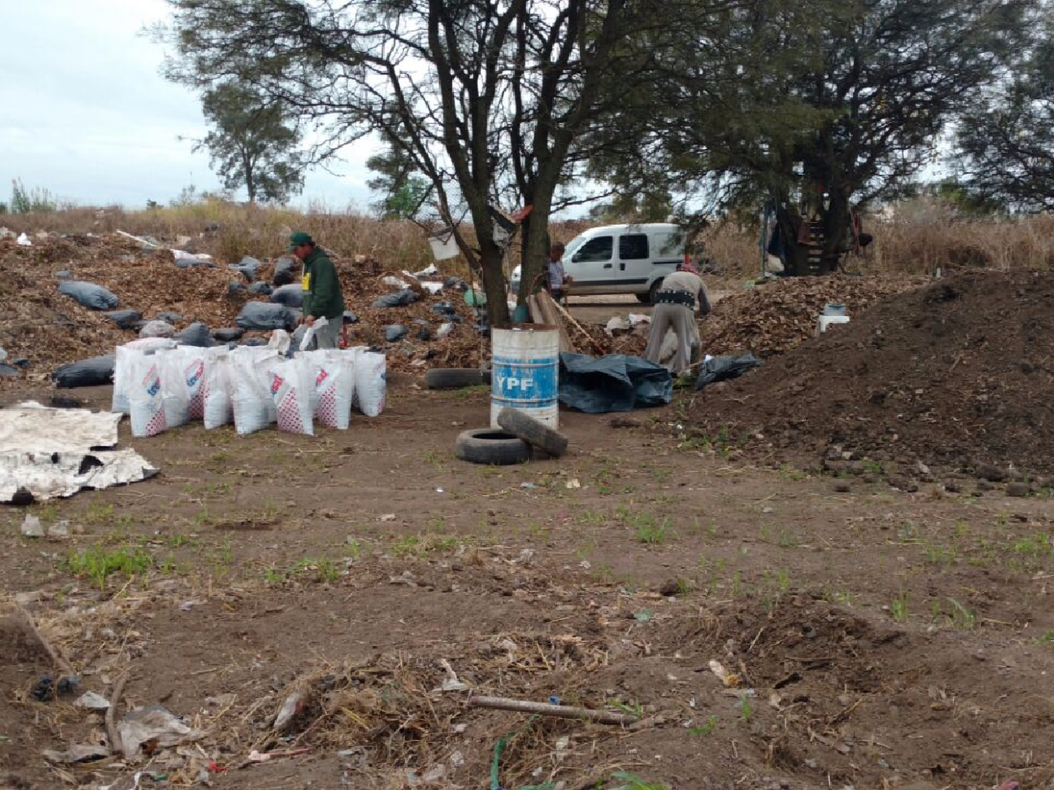 Brinkmann convierte hojas  y ramas  en compost para embellecer plazas   