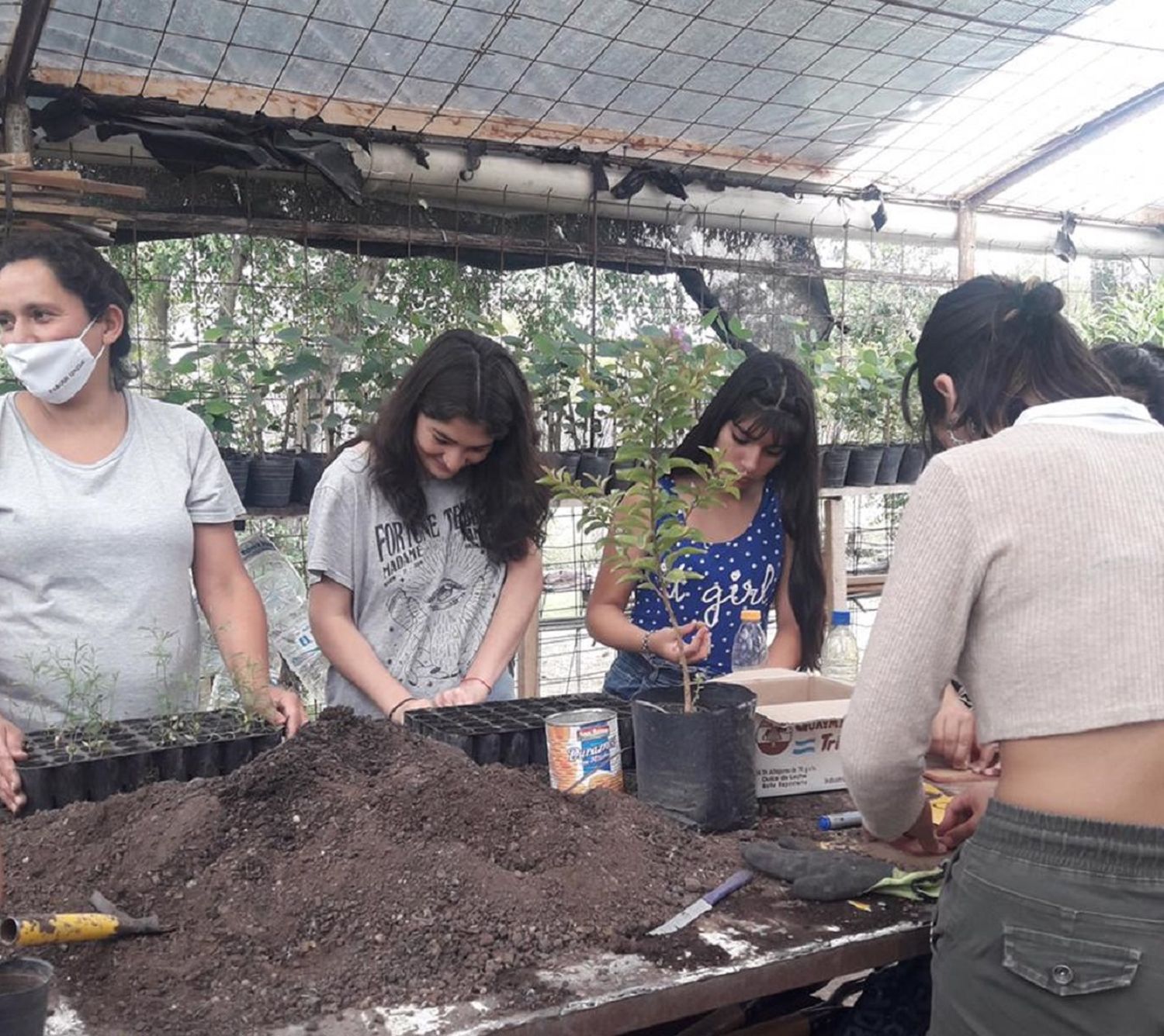 El Vivero Municipal de Árboles Nativos produjo más de 10.000 plantines en menos de un año y medio