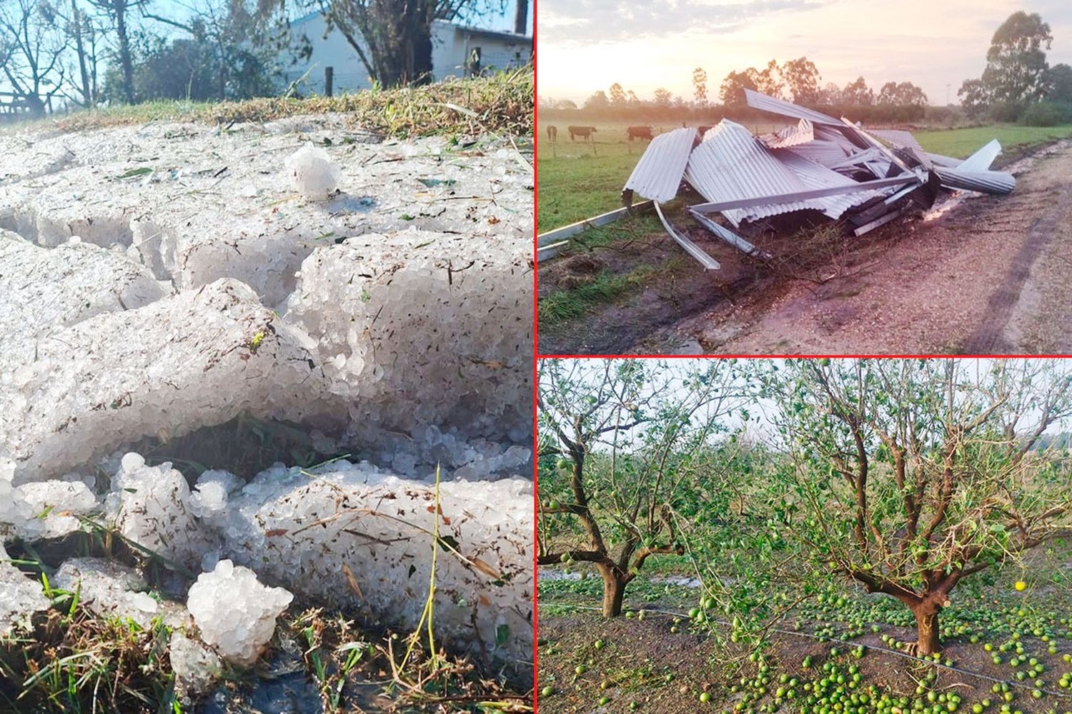 Temporal en Entre Ríos: hielo hasta las 10 de la mañana y destrozos