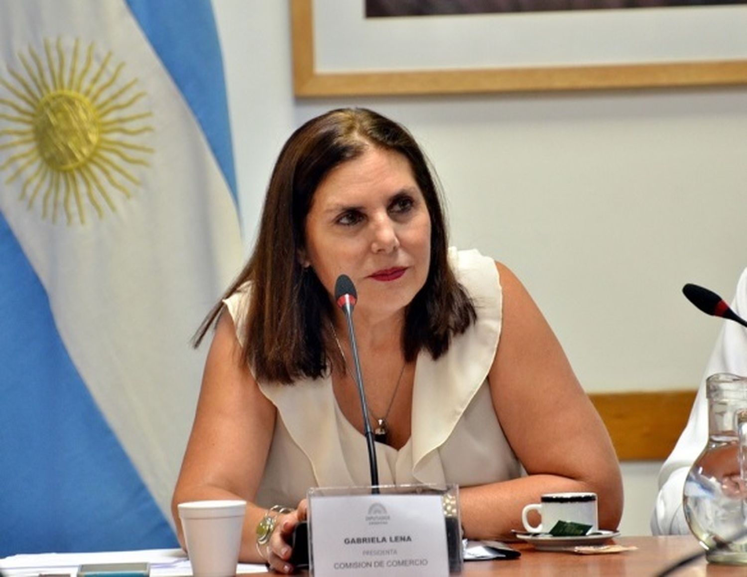 La diputada Gabriela Lena presentó varios proyectos culturales