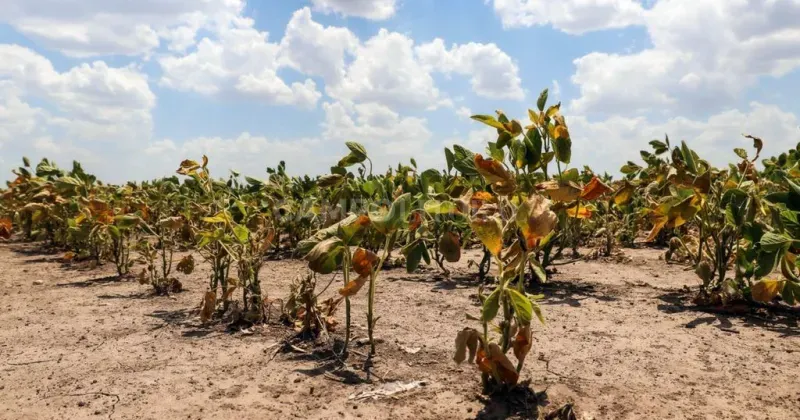 Venado Tuerto completó en 2022 su primavera más seca en los últimos 100 años