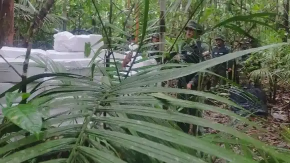 FANB incautó cinco toneladas de psicotrópicos en Amazonas