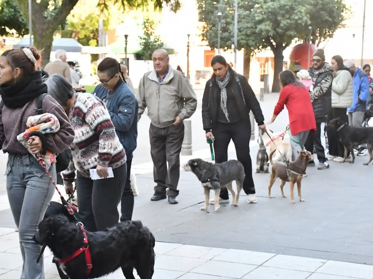 Por el día del animal se llevó a cabo una jornada gratuita de vacunación antirrábica