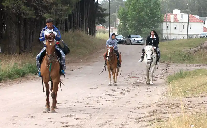 Qué se puede hacer cuando el día no está para bajar a la playa