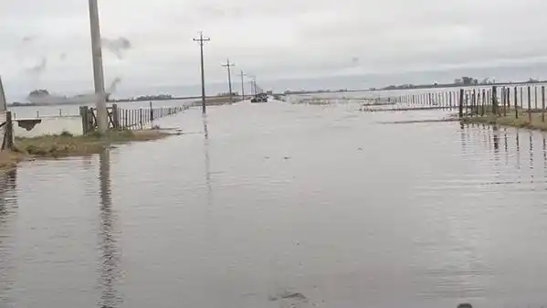 Ministerio de Agricultura convocó a la Comisión Nacional de Emergencia para el miércoles