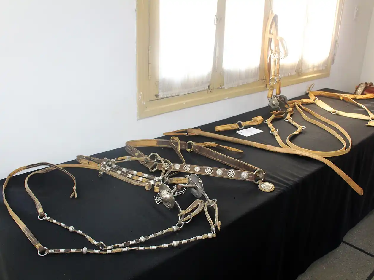 "El Freno": Tradición, cultura y pasión en la Tercera Muestra de Aperos