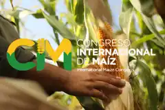 Continúa abierta la inscripción para participar del II Congreso Internacional del Maíz