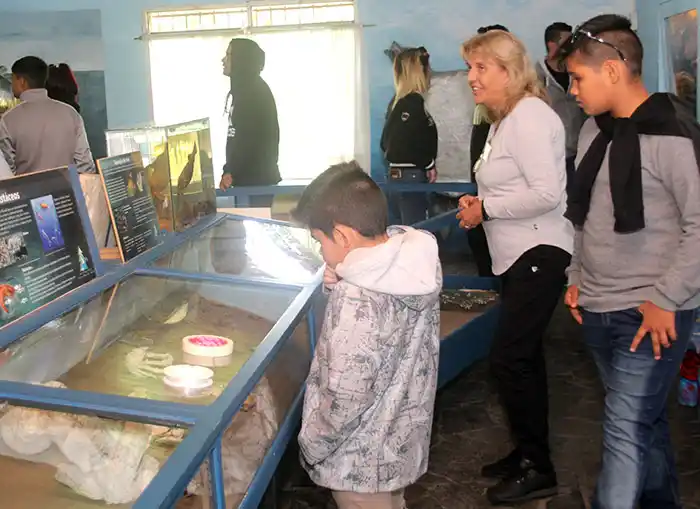 Museos. Un promedio de 250 visitas por día