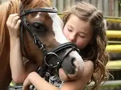 La terapia apunta al bienestar emocional y físico de los participantes.