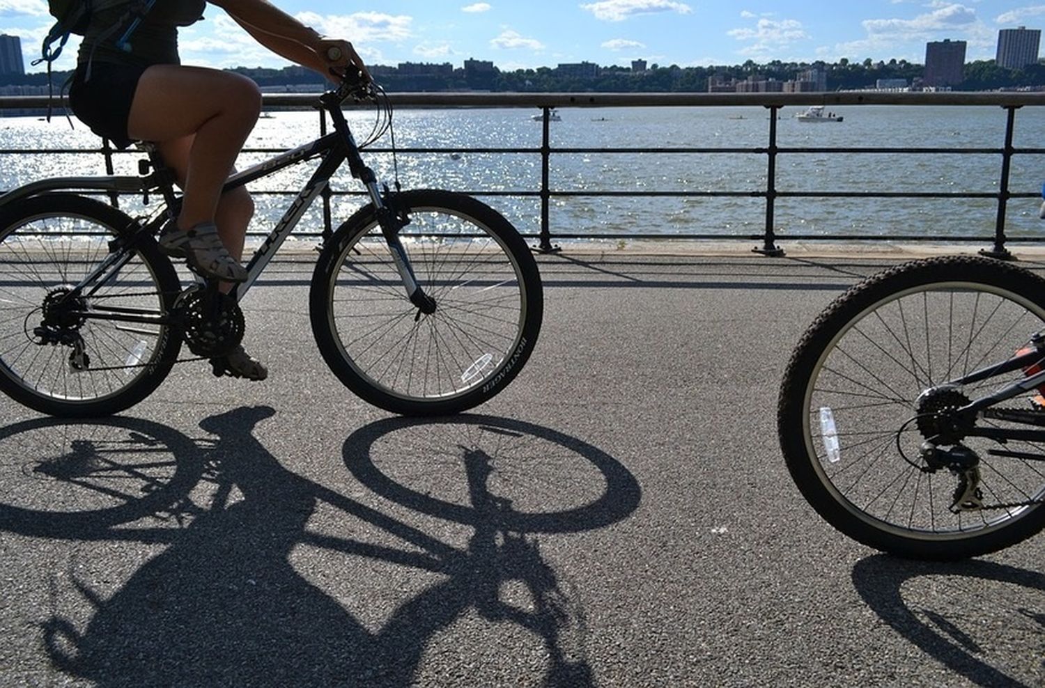 Planean una red de bicisendas para "vincular el centro con las principales avenidas"