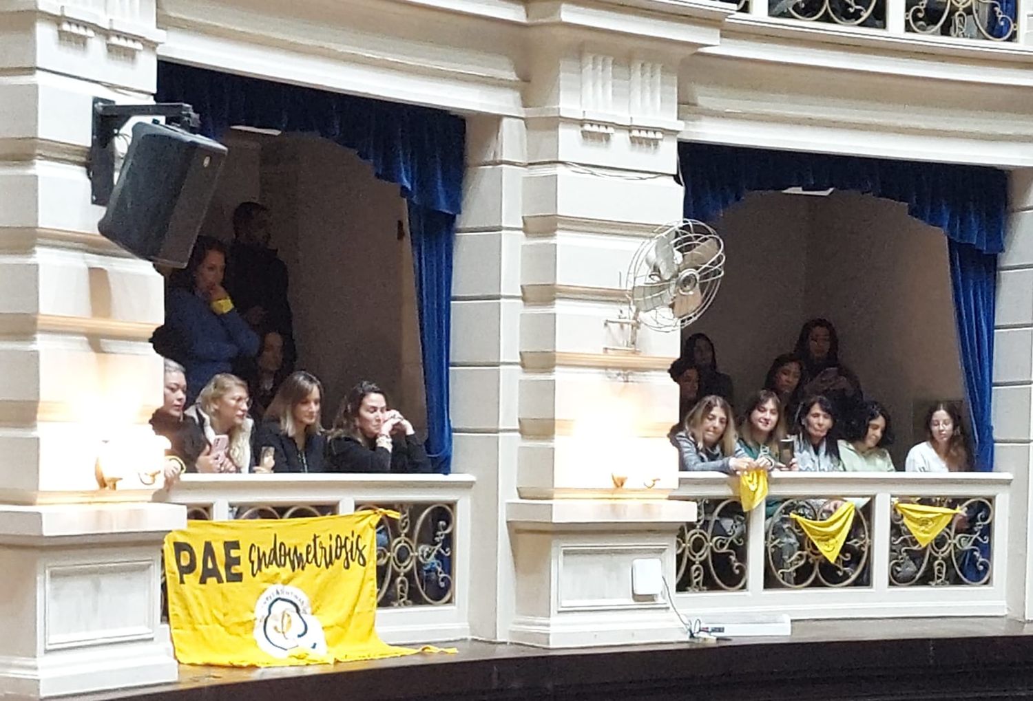 Las mujeres que acompañan el proyecto junto a Malgarini en el palco de Diputados.