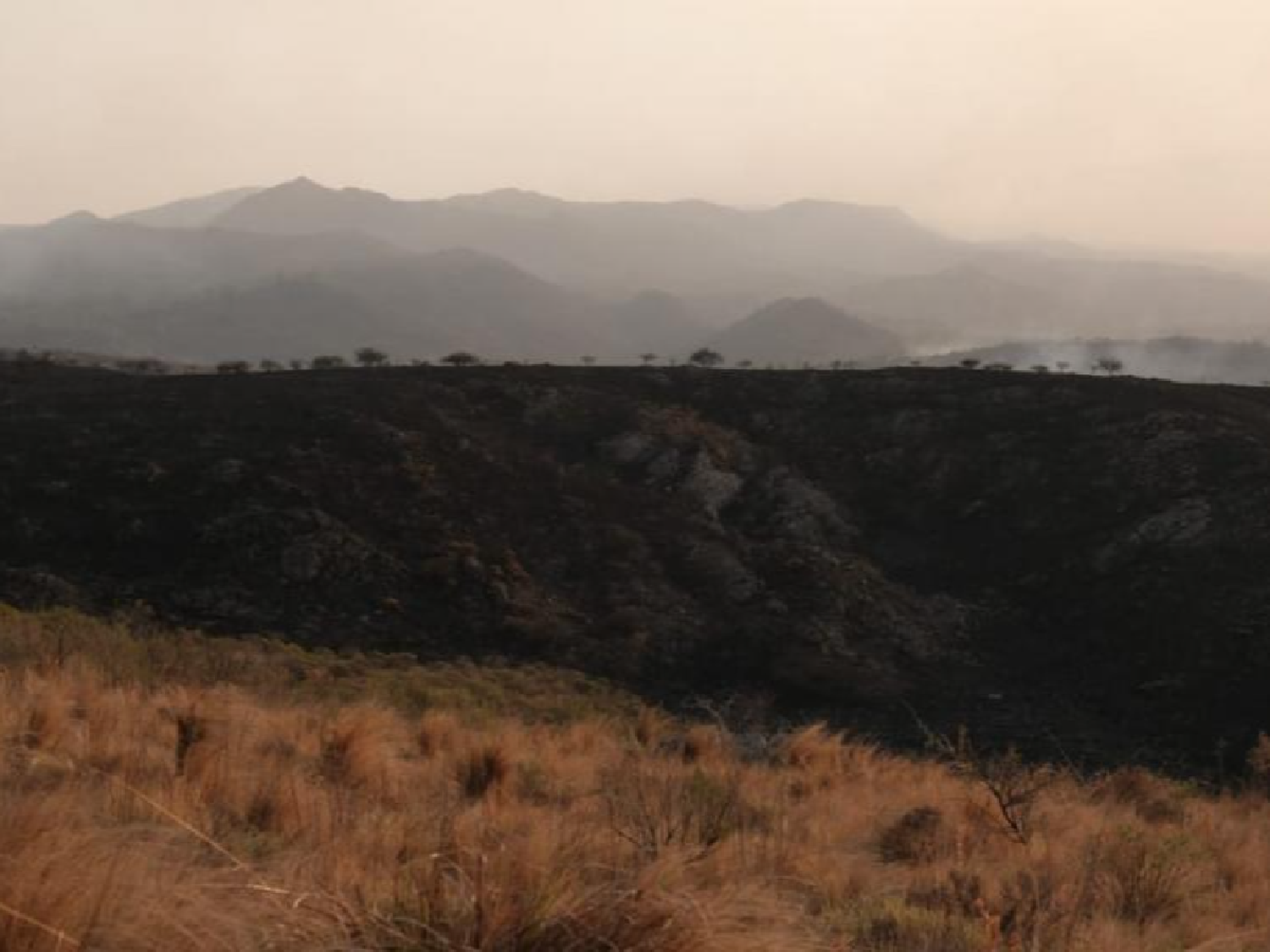 Brigadistas de Nación se suman a colaborar con los bomberos de Córdoba