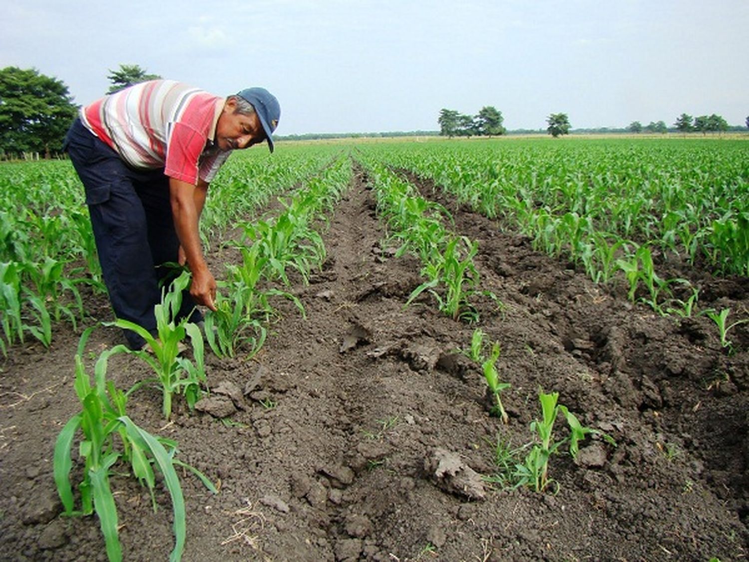 Definen nuevas líneas para el desarrollo rural