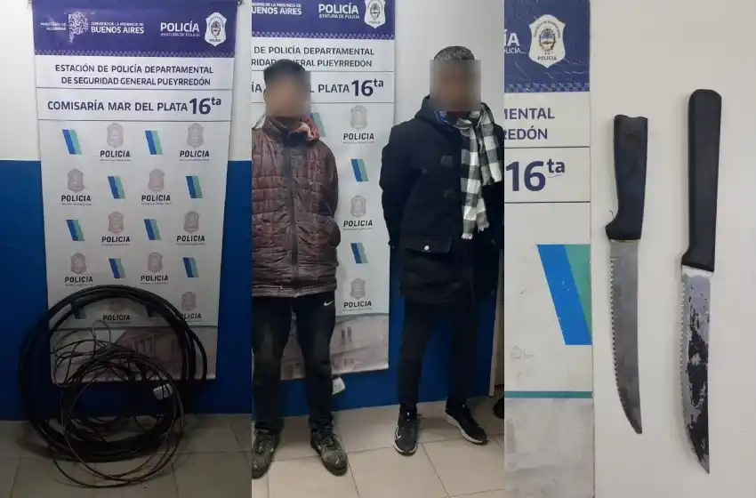Los delincuentes utilizaron dos cuchillos tipo serrucho para cortar el material.