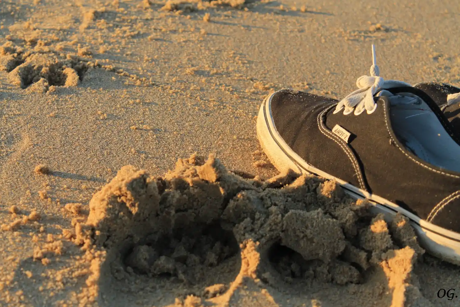 Serás lo que sientas ser