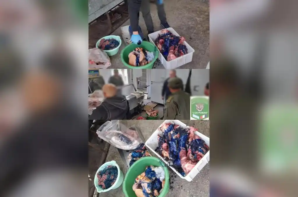 Secuestraron carne sin sello en una carnicería por presunto faenamiento clandestino