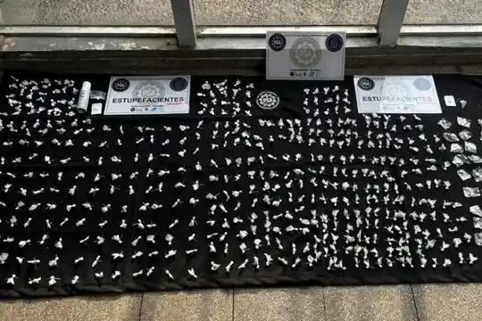 Estupefacientes incautados