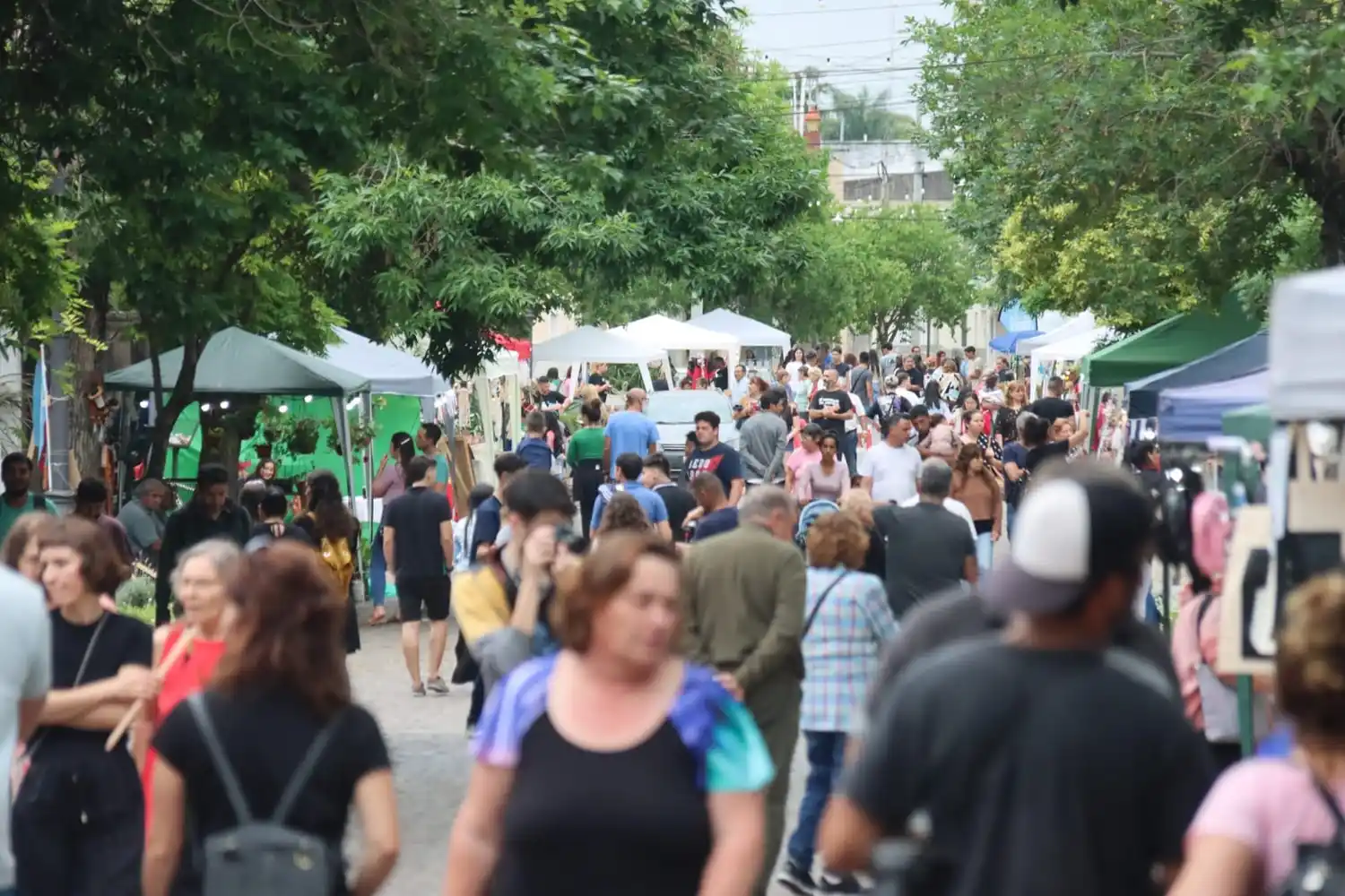 Se realizó una nueva edición del Paseo Alem, el último durante la gestión Piaggio