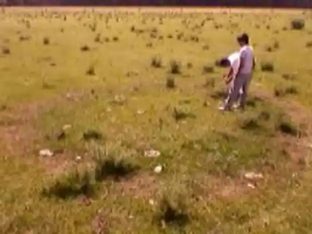 Aparecieron marcas extrañas en un campo