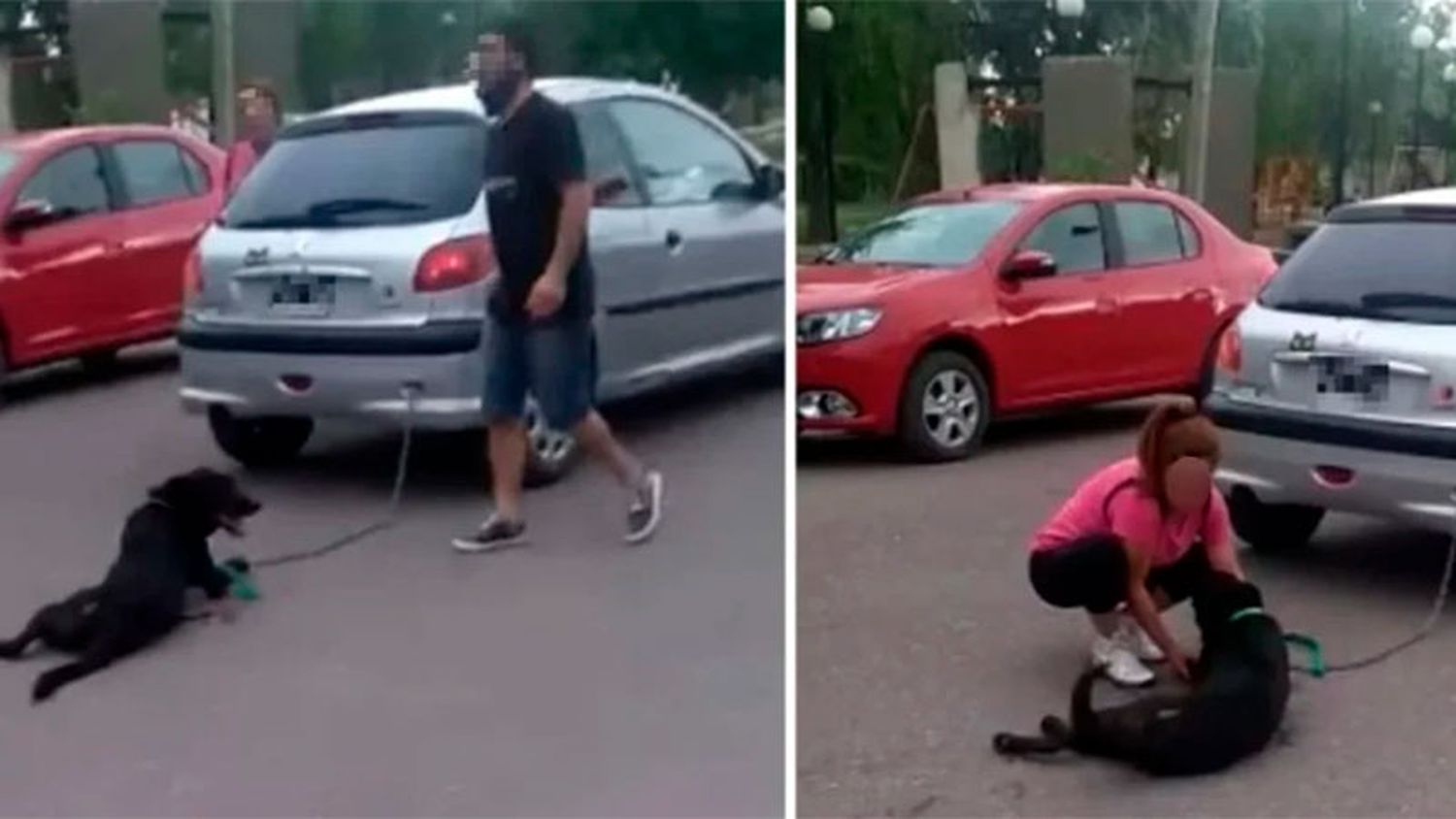 Condenaron a una docente que encadenó a su perro al auto y lo arrastró 7 cuadras