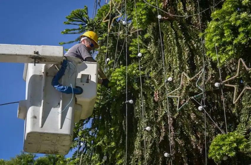 Mar del Plata ya palpita la Navidad