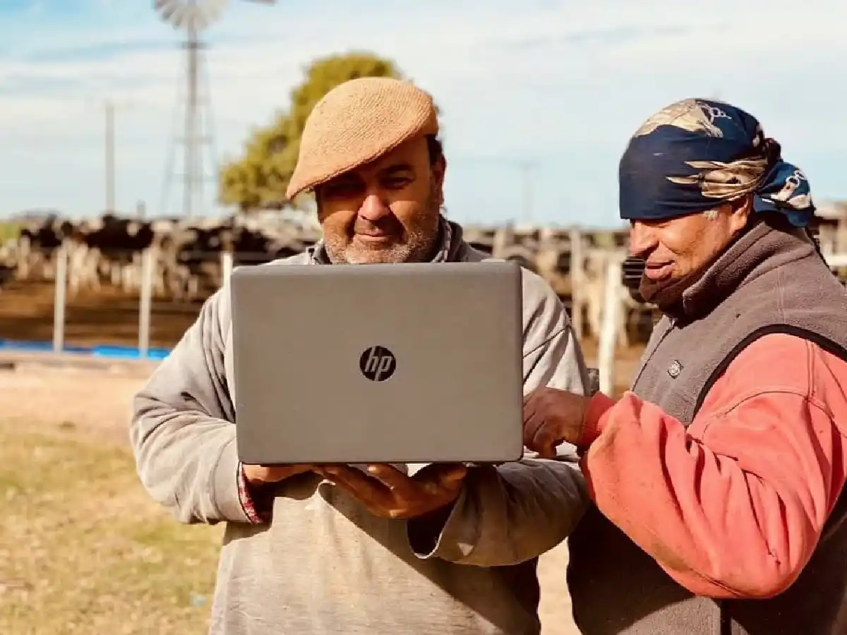 Tambos "conectados" para potenciar la producción    