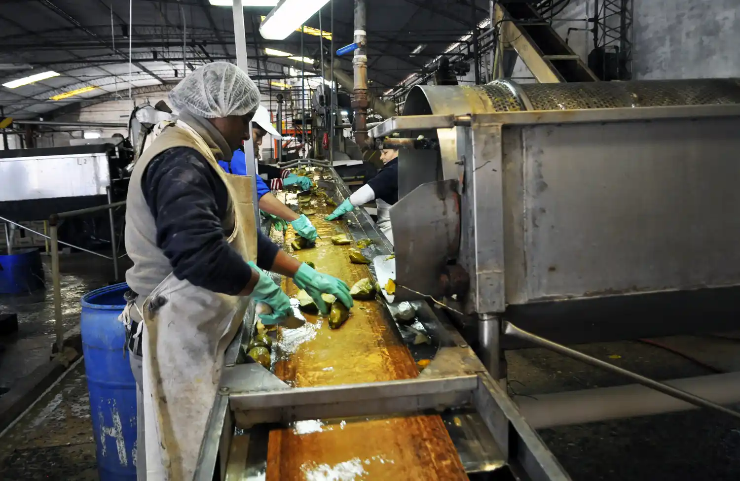 Las empresas esperan menores ventas e inversiones para el 2022