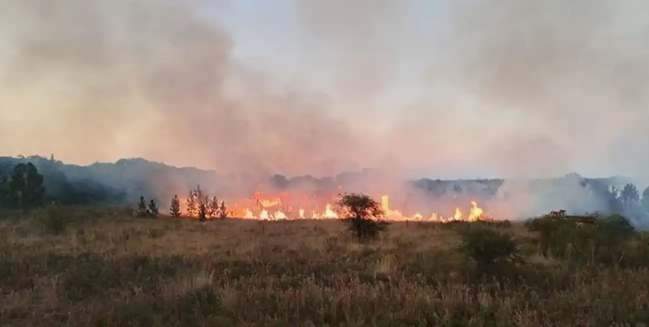 Sospechan que los dos grandes incendios forestales ocurridos en Reconquista fueron intencionales: hay denuncia penal