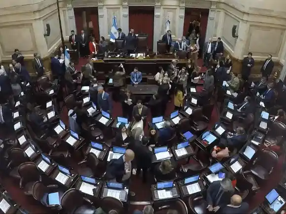El Senado aprobó un proyecto de ley para limitar los Decretos de Necesidad y Urgencia