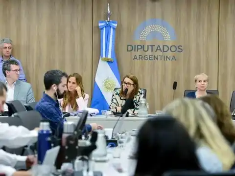 Reunión de la Comisión Investigadora sobre Fentanilo. Prensa diputados