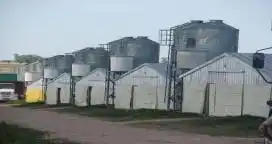 Destacan al sector avícola como un gran motor del desarrollo provincial