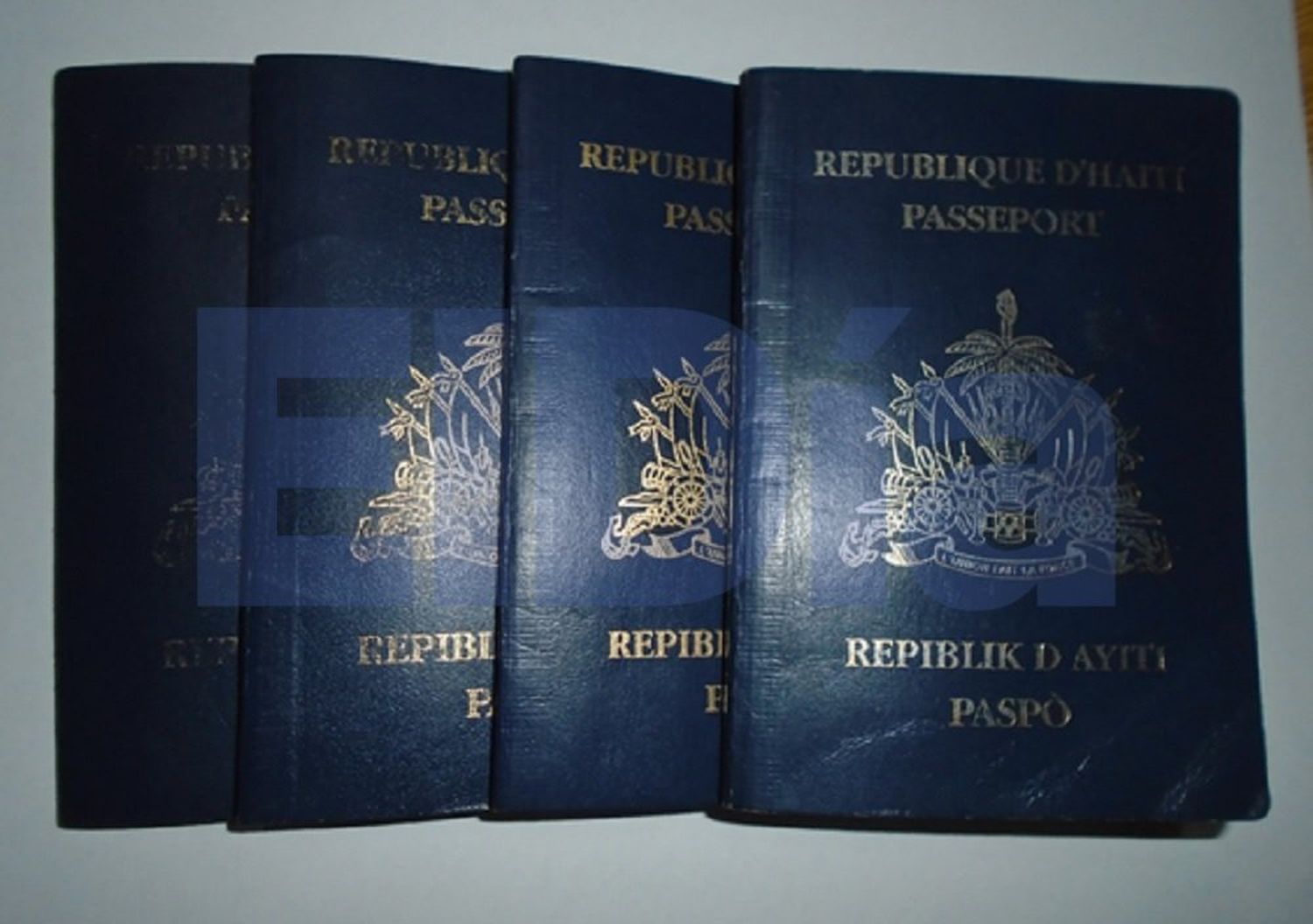 Gendarmería detectó a cuatro inmigrantes haitianos que ingresaron clandestinamente 