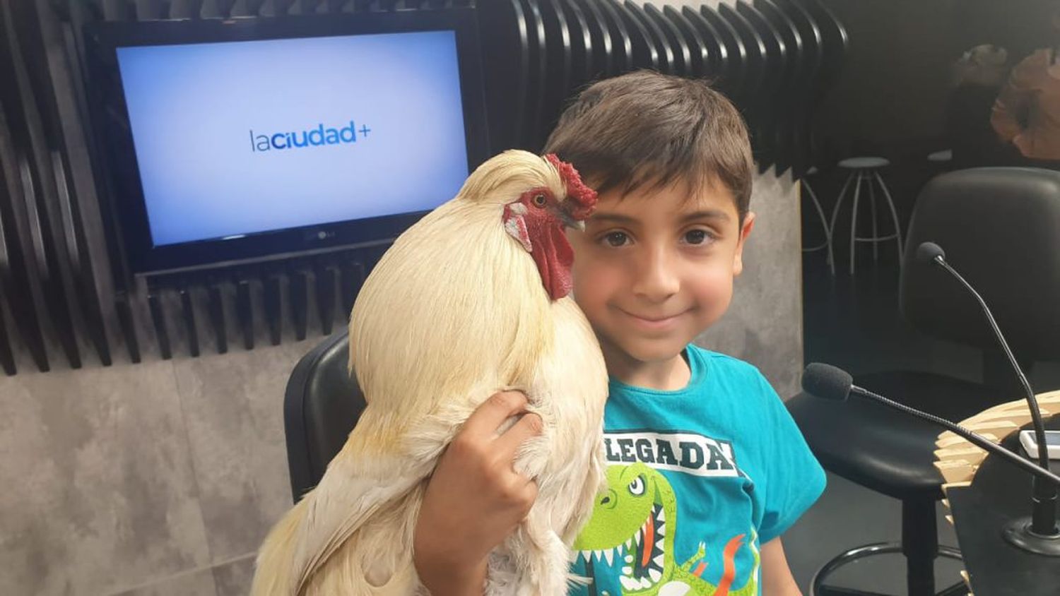 Un niño de 7 años tiene a un gallo como mascota