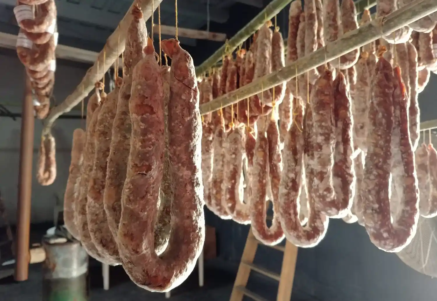 Turismo en la Provincia de Buenos Aires: Escapadas y festivales de este fin de semana largo