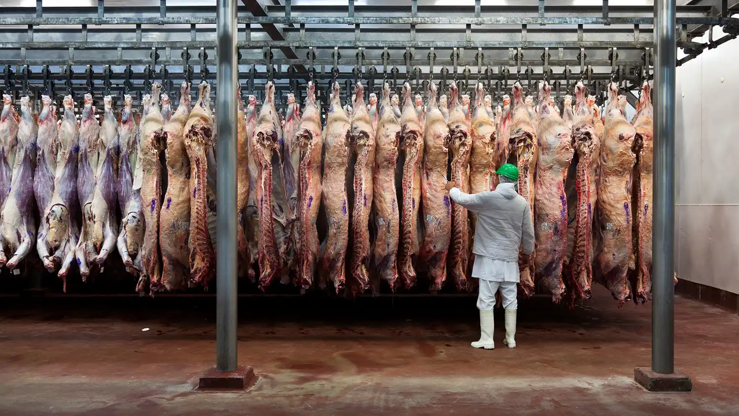 Las exportaciones de carne vacuna rompen todos los récords