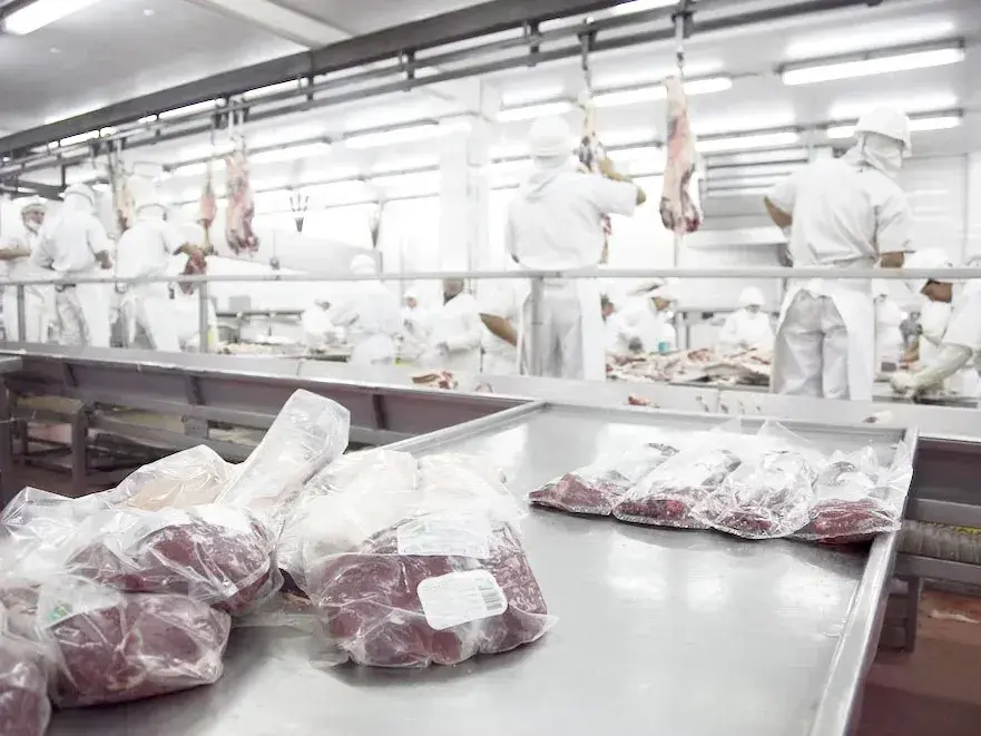 Carne vacuna: las exportaciones aceleraron en agosto y los ingresos crecieron casi 30% en un año